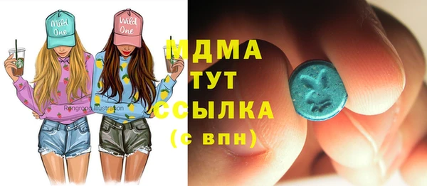 прущие грибы Дмитриев