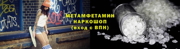 прущие грибы Дмитриев