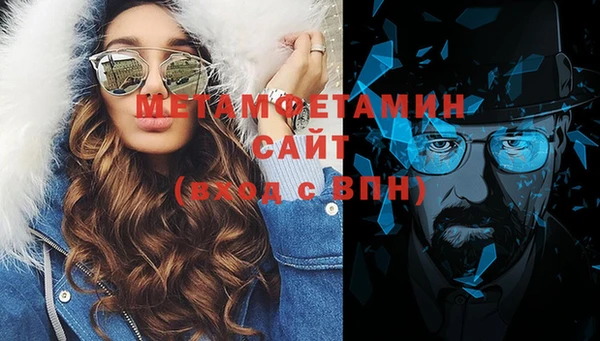 прущие грибы Дмитриев