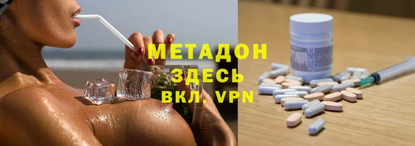 прущие грибы Дмитриев