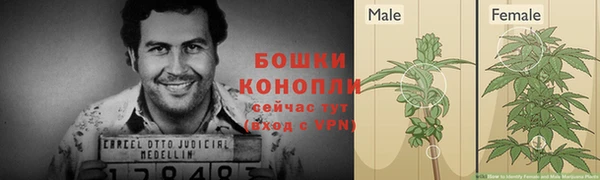 бошки Дмитров