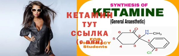 бошки Дмитров