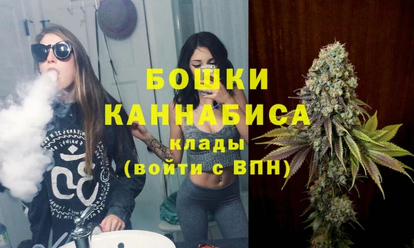 бошки Дмитров