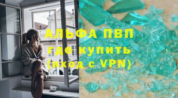 прущие грибы Дмитриев