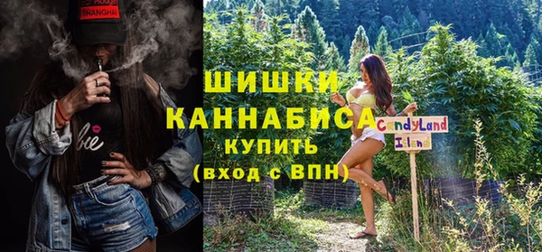 прущие грибы Дмитриев