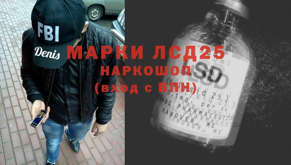 прущие грибы Дмитриев
