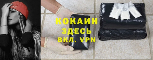 индика Фёдоровский