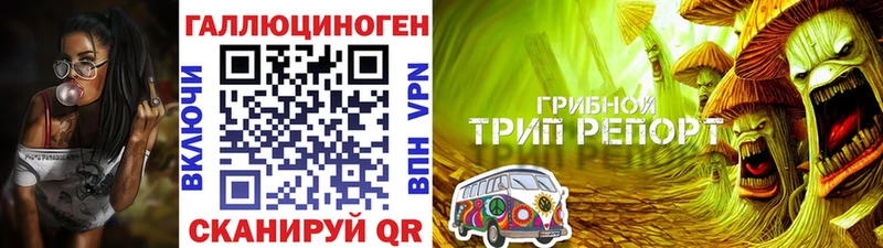 наркотики  Карачаевск  Галлюциногенные грибы мицелий 