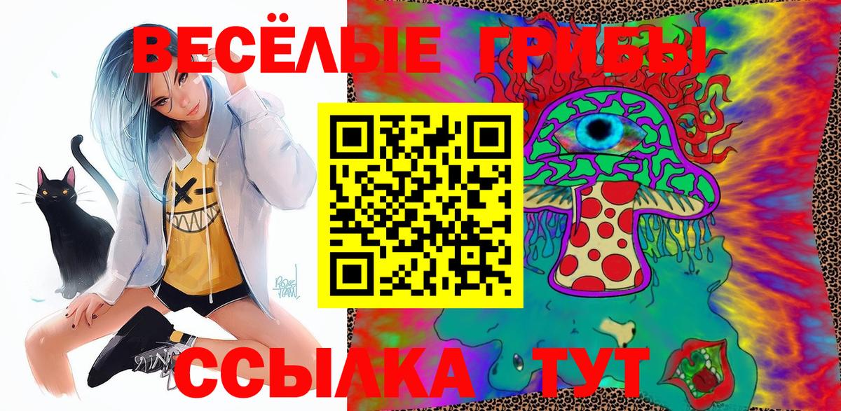 Карачаевск  Псилоцибиновые грибы мицелий  Вход с VPN  Галлюциногенные грибы Psilocybe 