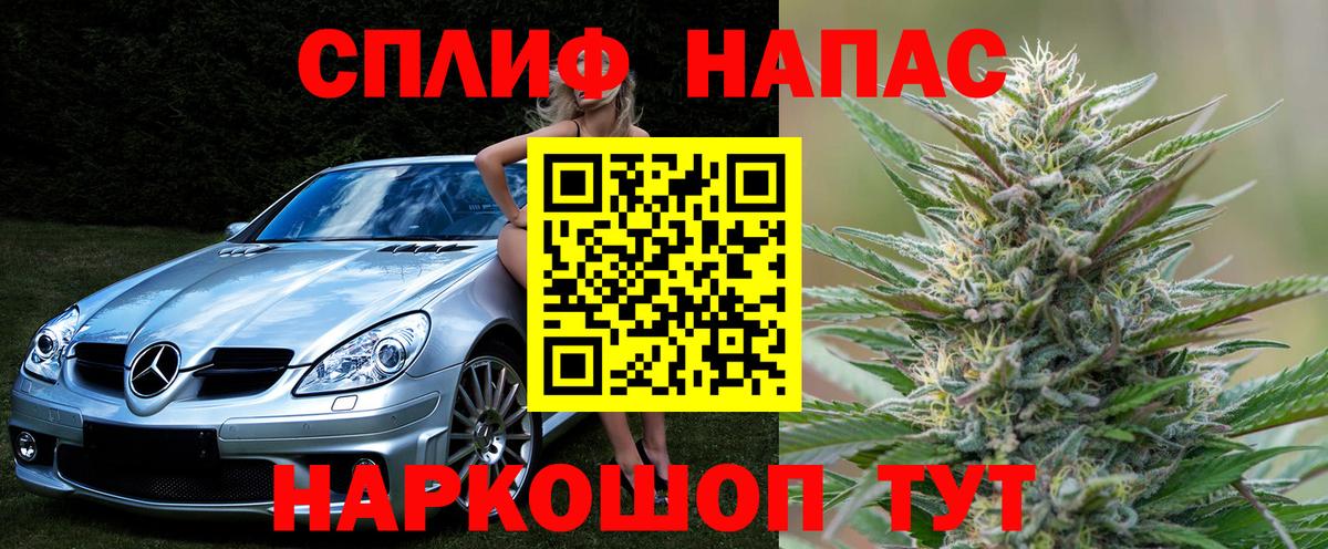 Марихуана гибрид  Вход с VPN  Конопля план  Бошки Шишки SATIVA & INDICA  Карачаевск 